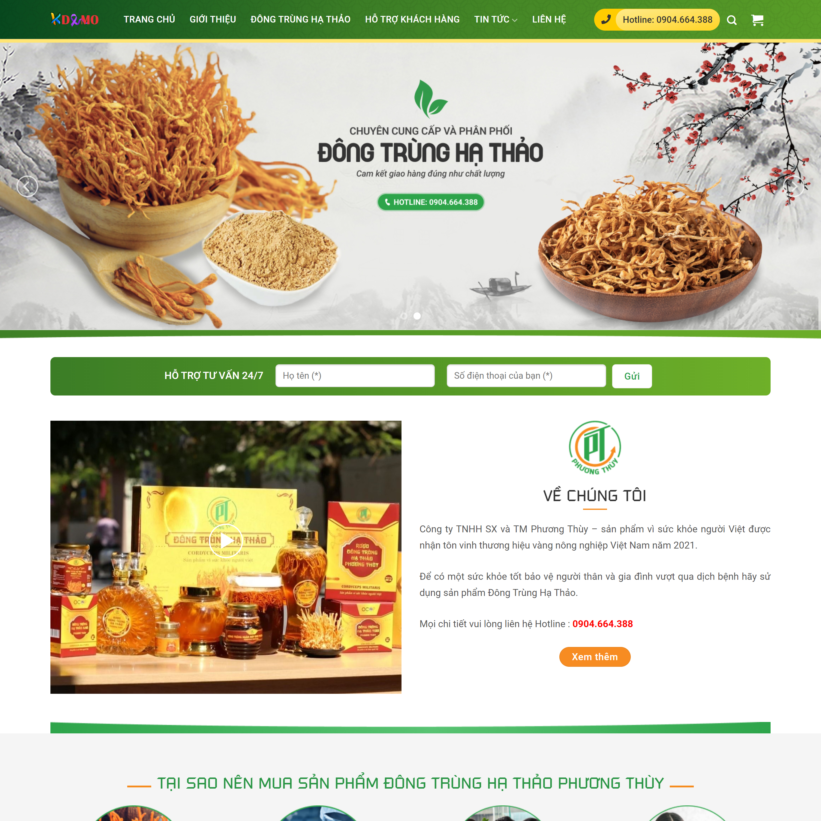 Theme WordPress đông trùng hạ thảo 1