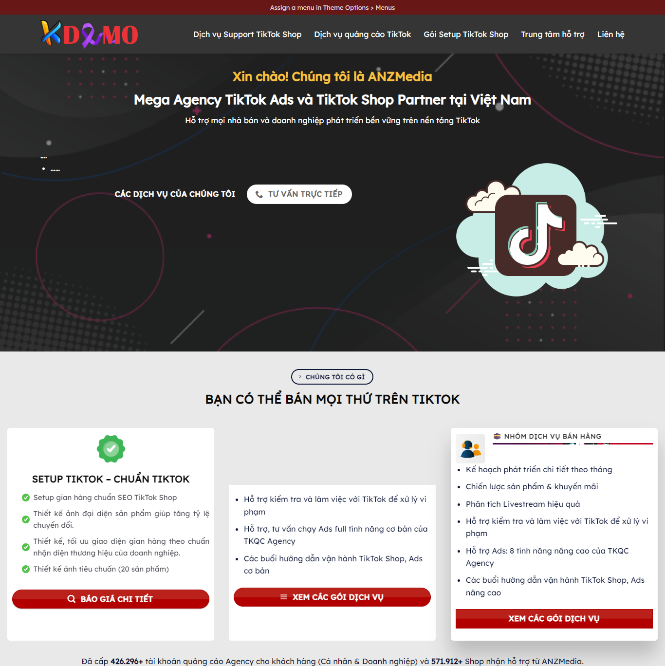 Theme WordPress Shop Tiktok